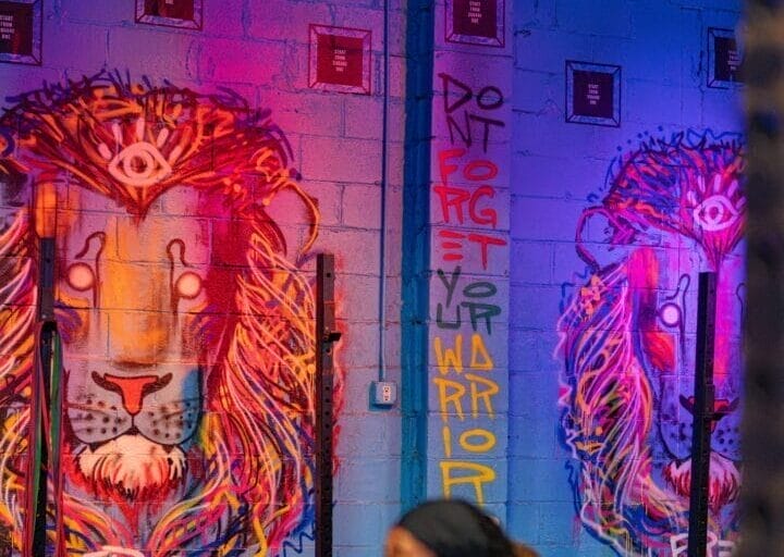 Grafitti lion mural at UltiMET Fitness.